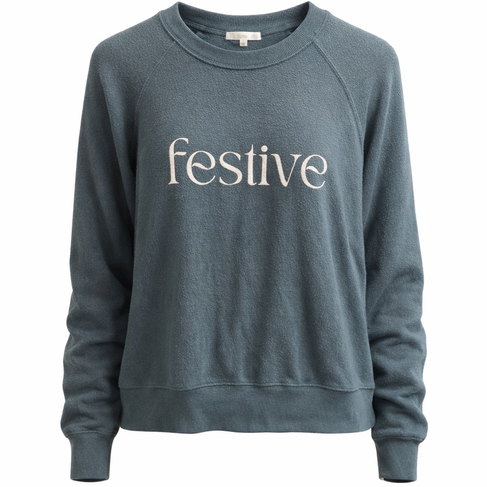 Z Supply Festive Holiday Blue Grey Crew Neck Jersey Sweatshirt Size L
